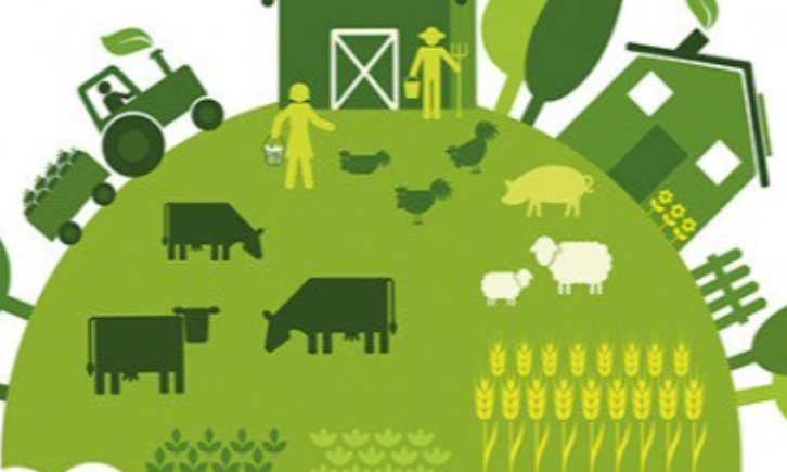 L2 Agricultural & Horticultural Science - Full Year